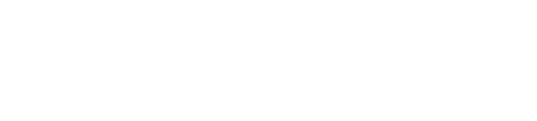 Logo INSA Institut des sciences appliquées de Lyon
